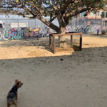 Arts District Dog Park photo 1